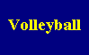 Volleyball, 